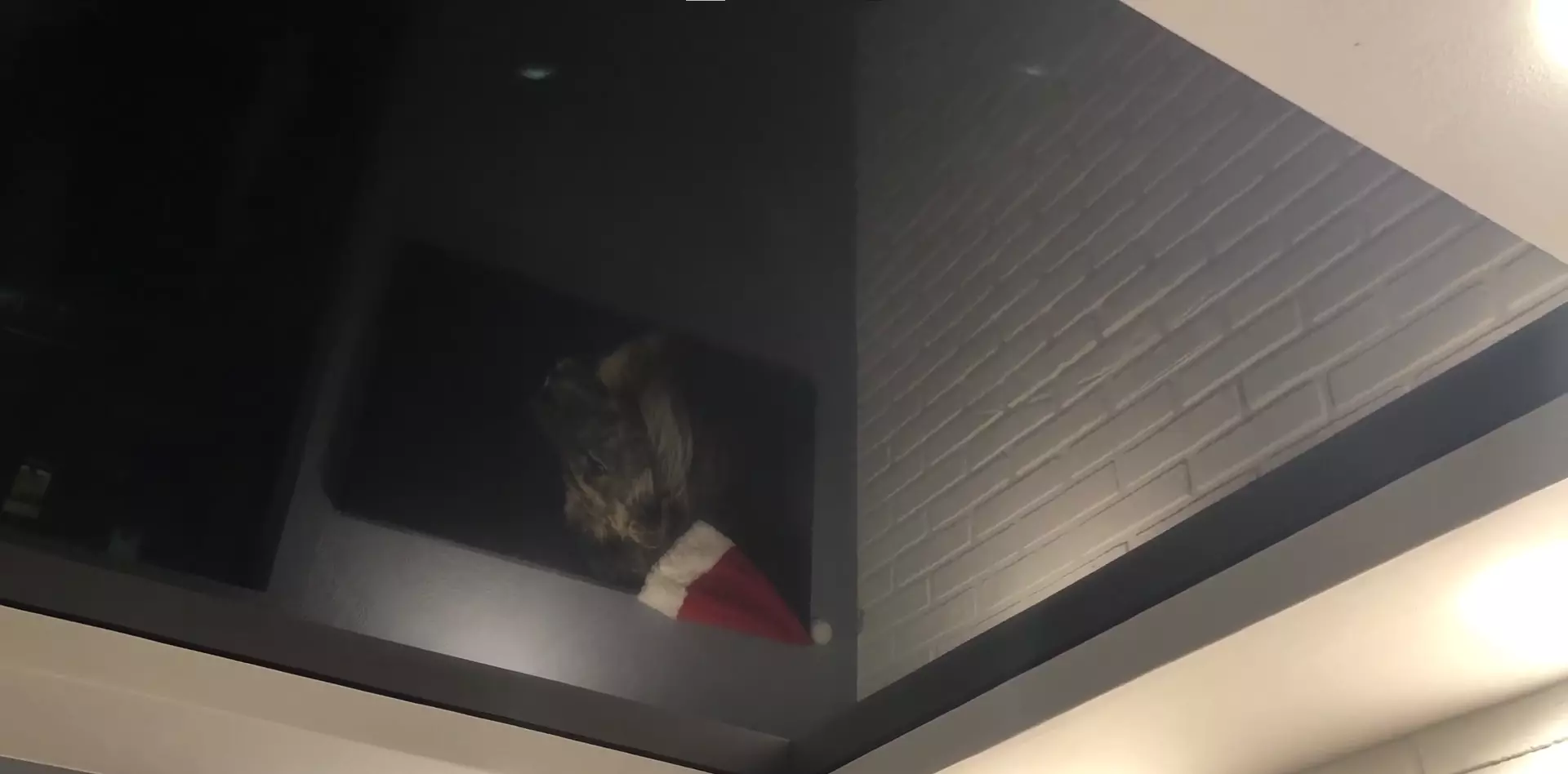 Тюмень, Интернациональная, 35, фото 3